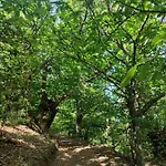A Portelina Casa Rural, Entre Vinedos Y Castanos Σαλέ Rubia