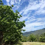 A Portelina Casa Rural, Entre Vinedos Y Castanos *