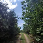 Σαλέ A Portelina Casa Rural, Entre Vinedos Y Castanos *
