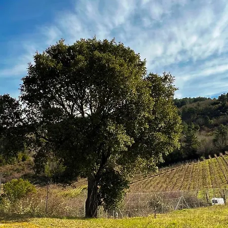 Alpehytte A Portelina Casa Rural, Entre Vinedos Y Castanos Rubia