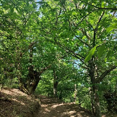 A Portelina Casa Rural, Entre Vinedos Y Castanos Alpehytte Rubia