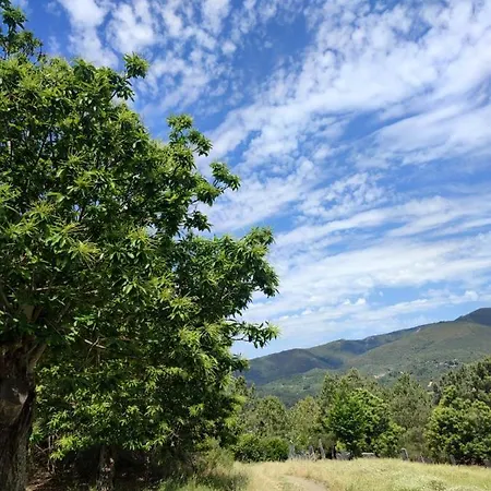 A Portelina Casa Rural, Entre Vinedos Y Castanos *