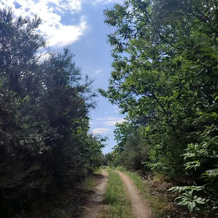 Alpehytte A Portelina *